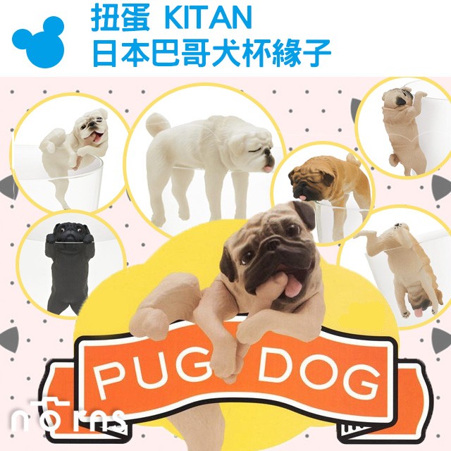 扭蛋 Kitan 日本巴哥犬杯緣子 Norns 八哥犬哈巴狗可愛動物奇譚putitto 杯緣裝飾 蝦皮購物