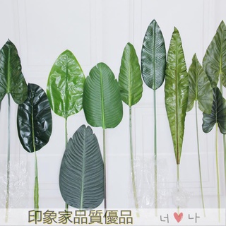 訂單滿299出貨 模擬綠植 葉子假葉子 道具擺飾 裝飾葉子 INS模擬單支大龜背葉子假樹葉插花綠植芭蕉葉散尾葵葉片裝飾婚