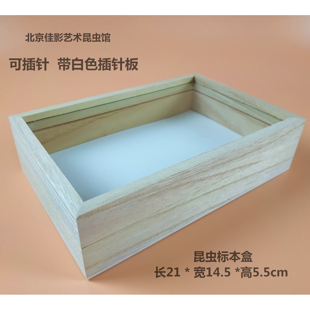 特價秒殺實木昆蟲標本盒21 14 5 5 5cm 可插針蝴蝶標本盒科普展覽盒 蝦皮購物