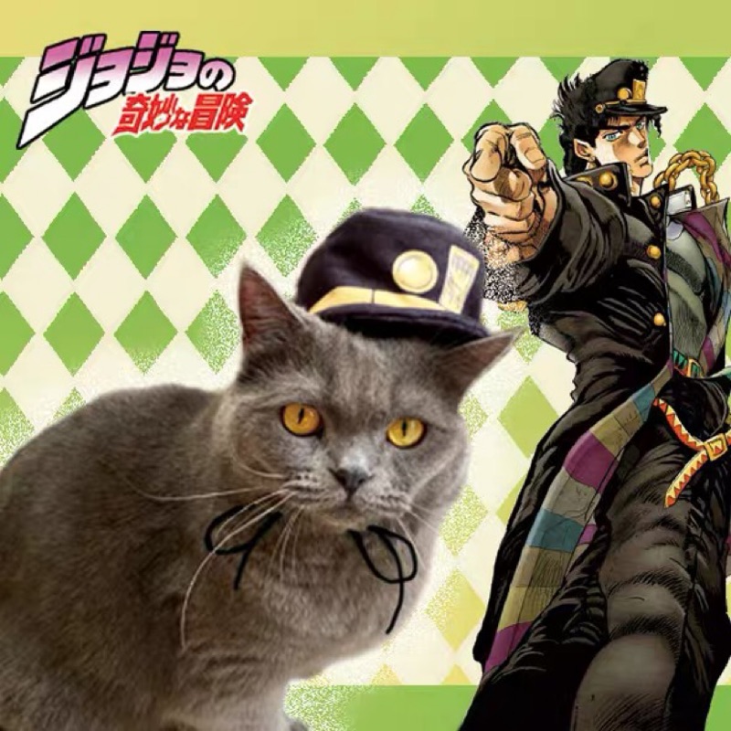 Jojo奇妙冒險空條承太郎3代寵物用品貓咪帽子頭套小型犬頭飾裝扮 蝦皮購物