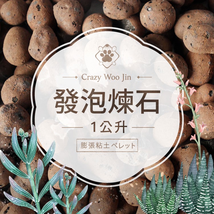 水耕石 優惠推薦 22年9月 蝦皮購物台灣