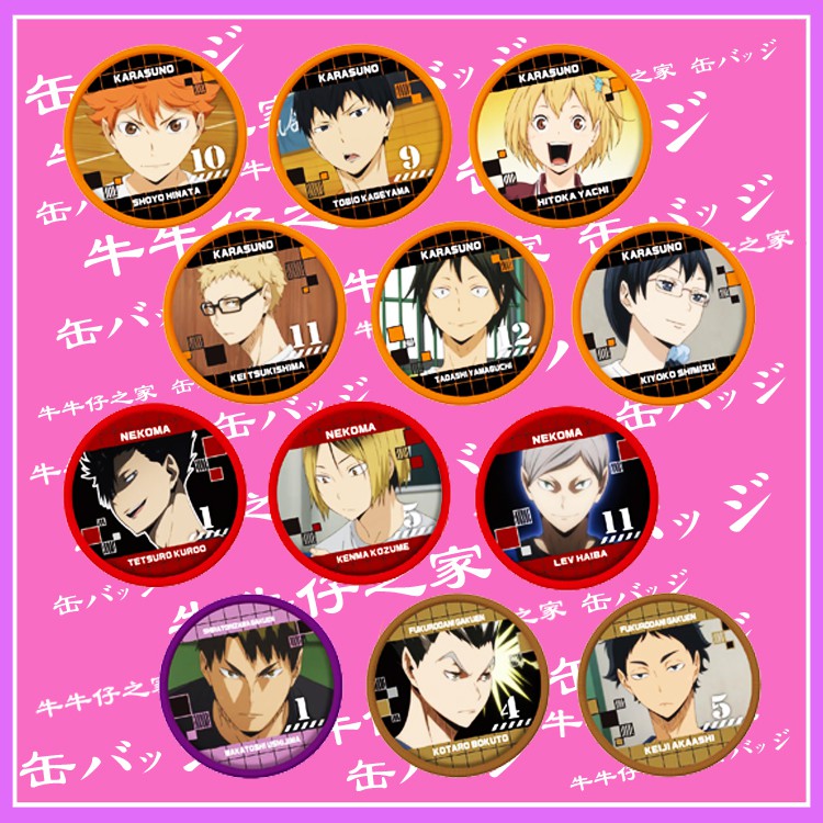 排球少年胸章徽章別針勳章翔陽影山木兔光太郎赤葦京治牛島若利孤爪研磨黑尾鐵朗灰羽列夫清水潔子