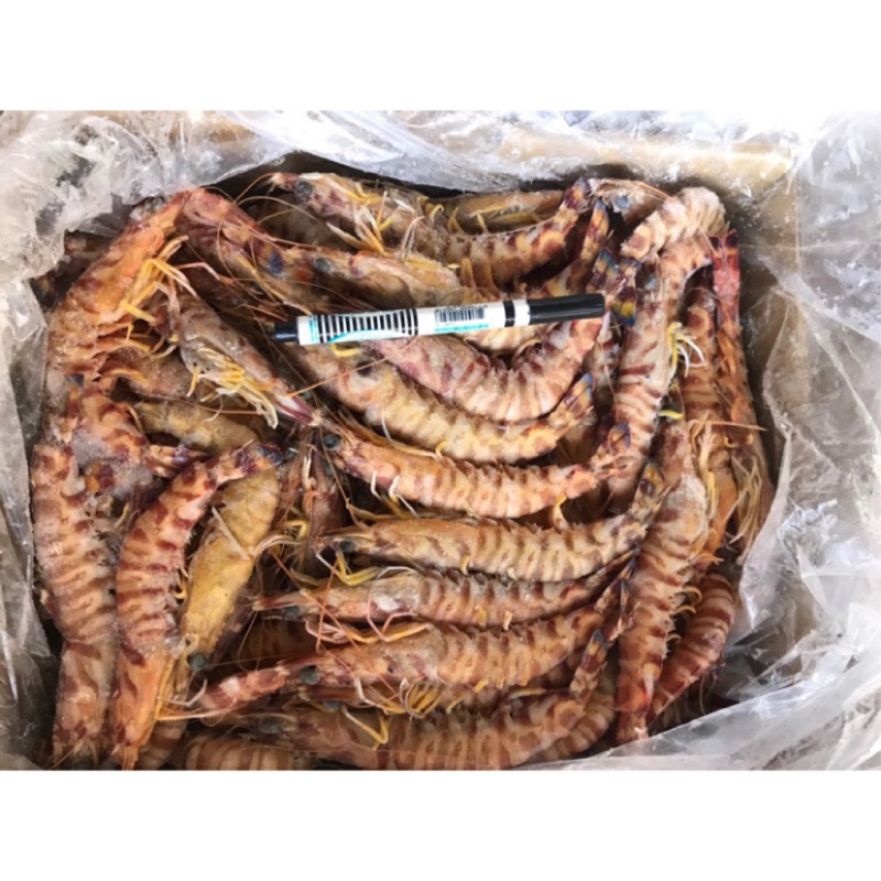 台灣活凍明蝦（4公斤裝）
