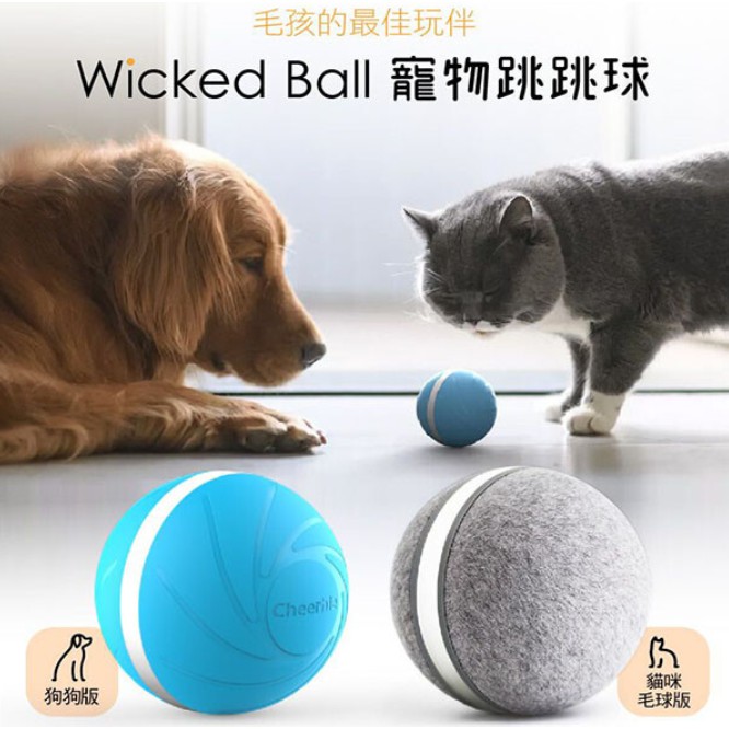 🚚官方直出🚚 Wicked Ball 寵物跳跳球 100%全自動防水 寵物玩具 貓玩具 貓咪玩具 狗狗玩具 寵物球