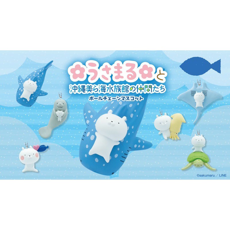 開闢工作室 沖繩限定海洋館水族館轉蛋扭蛋烏龜章魚鯨鯊海牛兔丸與美麗海水族館的好朋友兔丸鬼蝠魟 蝦皮購物