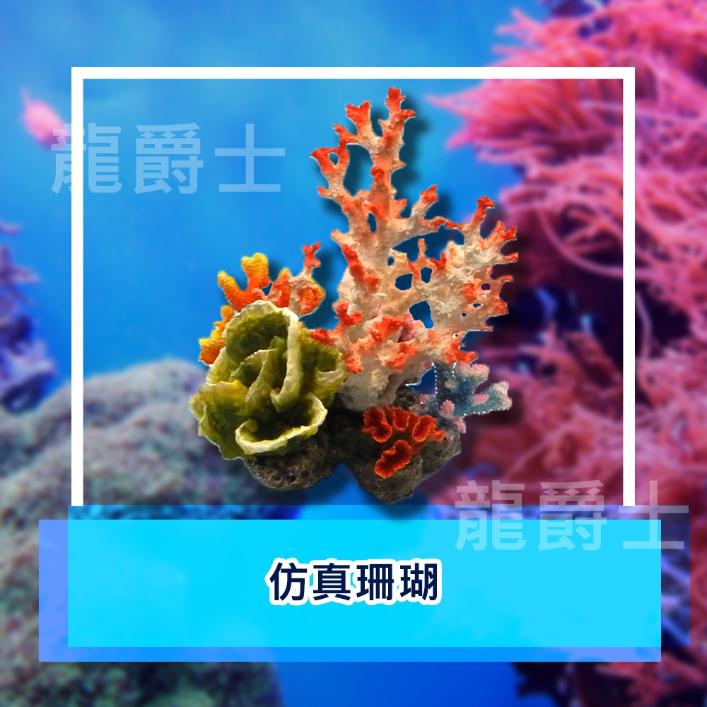 現貨 仿真珊瑚飾品2樓 蝦皮購物