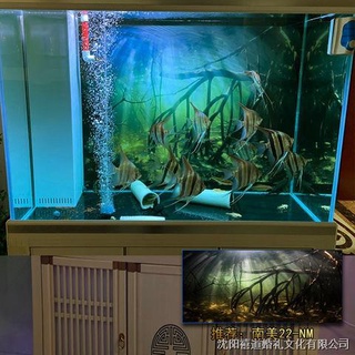 魚缸壁紙 優惠推薦 21年11月 蝦皮購物台灣