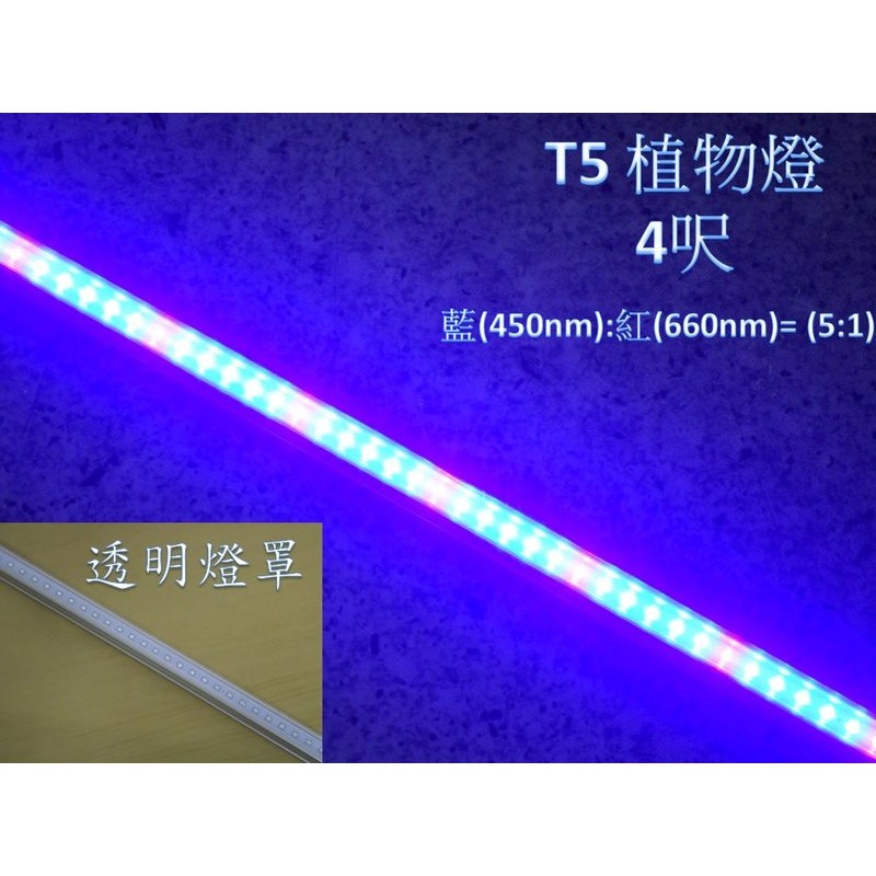 [晁光照明]LED 植物燈 水族燈 LED燈管 T5 4呎 藍(450m):紅(660nm)=5:1 兩組優惠價