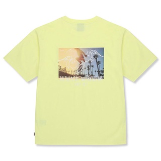 【DICKIES】韓國限定 DSS2UTST379 BOARD ARTWORK 短T (亮黃色) 化學原宿
