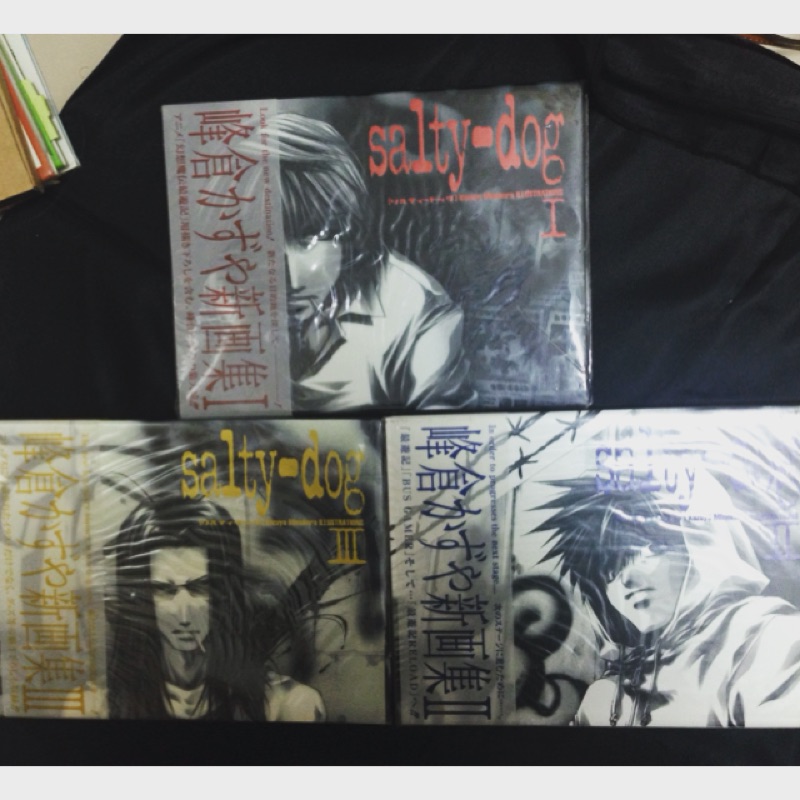 通販割引品 Salty Dog 峰倉かずや画集 1 アート エンタメ ホビー