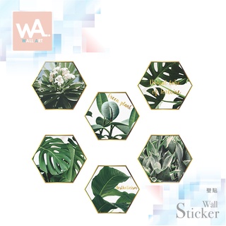 Wall Art 臺中現貨 無痕設計壁貼 不傷牆 創意DIY 防水貼紙 客廳 北歐風 金屬 六角 掛框 仙人掌 C196