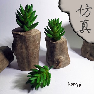 多肉 模擬多肉 微景觀 P17 假多肉植物 辦公室小物 療癒紓壓生日禮物拍照居家裝飾咖啡屋商店擺飾迷你木頭底座盆栽