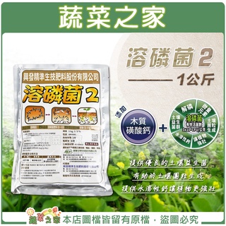 【蔬菜之家滿額免運】溶磷菌2(1公斤裝) // 提供優良的土壤益生菌 有助於土壤團粒生成 提供水溶性鈣讓植物更強壯