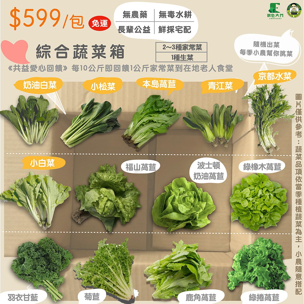 水耕箱 優惠推薦 21年8月 蝦皮購物台灣