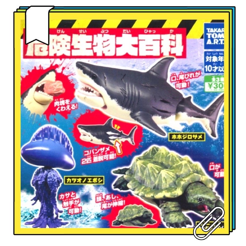 TAKARA 危險生物大百科 扭蛋 鯊魚 水母 龜 轉蛋