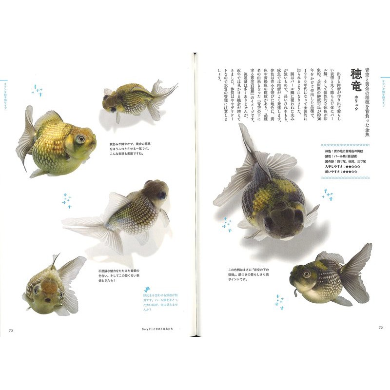 現貨 ときめく金魚圖鑑 蝦皮購物