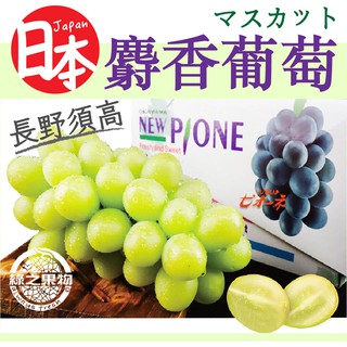 【綠之果物 現貨】日本麝香葡萄 單串500-600克 日本空運直送 禮盒包裝 #2