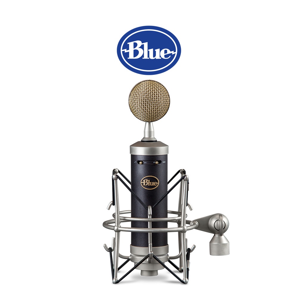 美國BLUE Baby Bottle SL 大型振膜錄音室電容式麥克風【預購】【GAME休閒館】