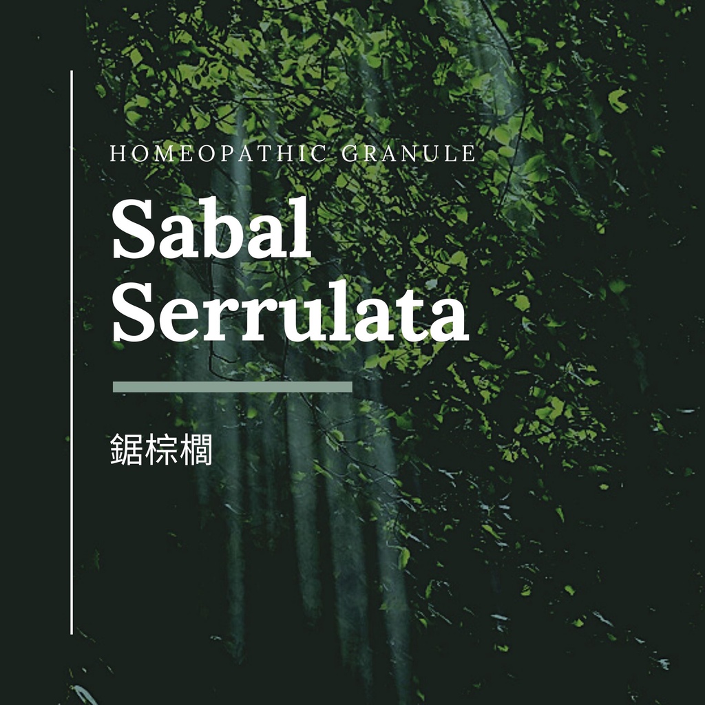 順勢糖球【鋸棕櫚●Sabal Serrulata】海底輪 減壓 Homeopathic Granule 9克