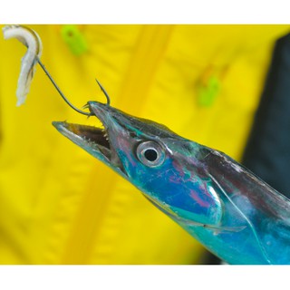 Jackson Taichi Jig 太刀鐡板岸抛鐡板白帶 蝦皮購物