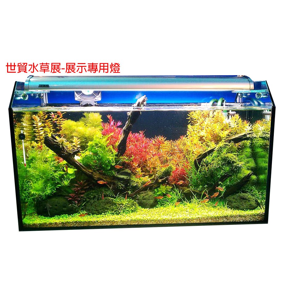 2尺 1 5尺ㄇ型專業水草套缸組 含2尺缸 台製過濾器 2尺w T8水草雙燈 可選風扇或加溫器 蝦皮購物