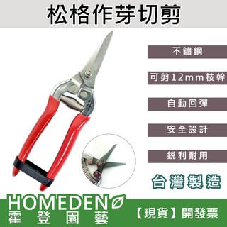 【隔日到貨】松格作芽切剪 臺灣製造 不鏽鋼 園藝剪 芽切剪 農工具 盆栽剪刀 花剪 採果剪【HOMEDEN霍登園藝】