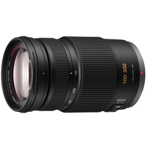 Panasonic 100-300mm F4-5.6 MEGA O.I.S 台松公司貨 H-FS100300E