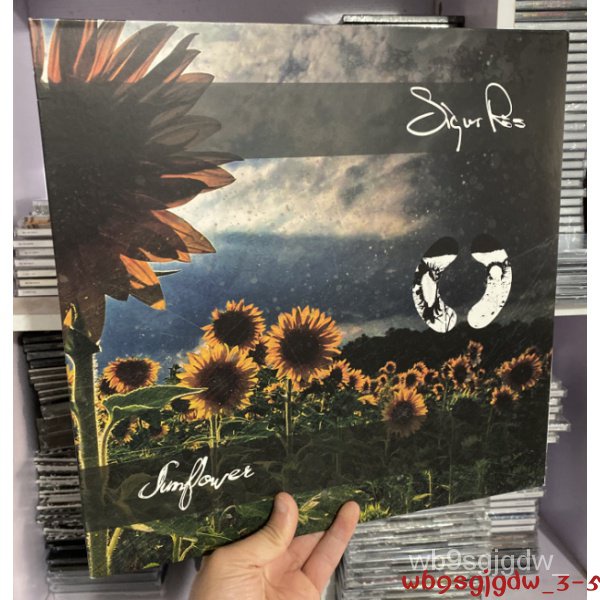 原裝正版全新黑膠唱片 Sigur Ros Sunflower LP原版唱片