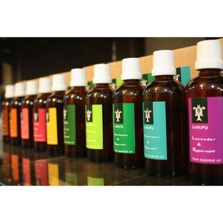 【Luxury麗舍草本】魔法馬鞭草-薄荷精油補充瓶100ml(加贈一支10ml茶色玻璃滾珠空瓶)/精油棒/精油筆專用