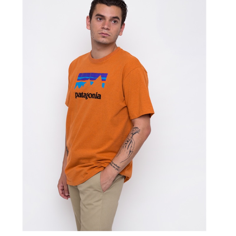patagonia shop sticker tee