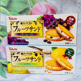 [大貨臺日］日本 Tohato 東鳩 宇治抹茶風味葡萄乾夾心餅 葡萄夾心餅乾 檸檬起士夾心餅乾8個入 多款供選