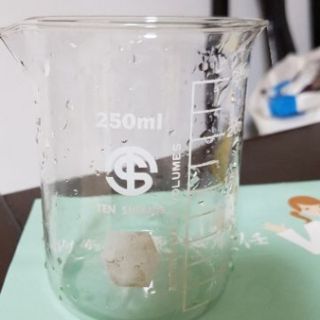 玻璃花器 玻璃刻度燒杯 實驗室化學試驗用品儀器 250ml