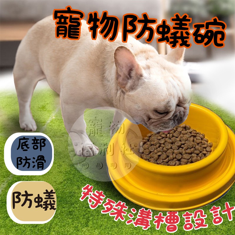 寵物福利社 現貨 防蟻碗寵物碗防螞蟻碗狗碗貓碗食用碗防蟻寵物碗飼料碗防噎碗寵物碗寵物碗架寵物碗架