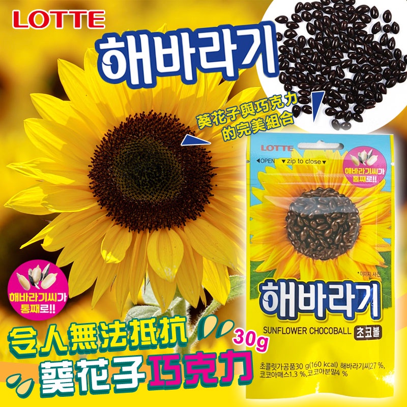 韓國樂天葵花子巧克力的價格推薦 22年5月 比價比個夠biggo