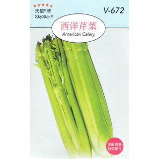 種子王國 西洋芹菜 【蔬果種子】 天星牌 彩色包裝 原包裝種子 家庭園藝 小包裝種子
