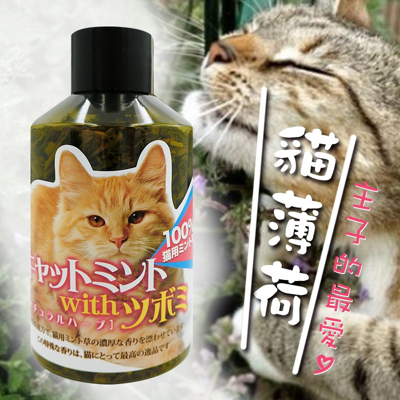 非寵不可 Petbest 健康彩食貓草現貨mit 貓薄荷草貓草貓大麻100 台灣貨 蝦皮購物