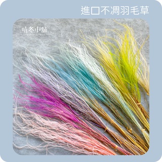 *晴冬小舖*不凋羽毛草-進口不凋花材 乾燥花材 乾燥花束 不凋花束 花圈 花冠 線條感花材 永生花材 拍照道具 插花花藝