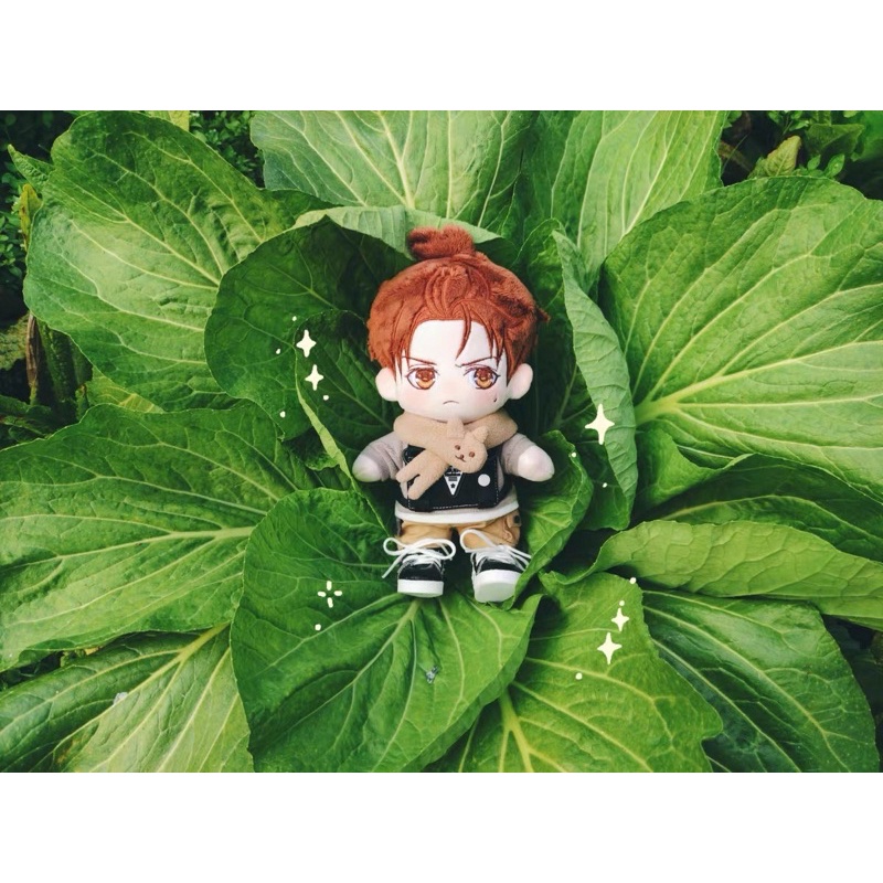 7 2更新 未定左然陸景和未定事件簿陸景和左然娃戀與製作人棉花娃公分娃cm 李澤言白起 蝦皮購物