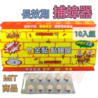 《東明蔡小鋪》現貨 💥附發票 尚介黏 金黏 黏蟑屋 蟑螂屋 臺灣製 10張入 捕蟑屋 安全無毒 捕蟑盒 黏捕蟑螂蜘蛛螞蟻