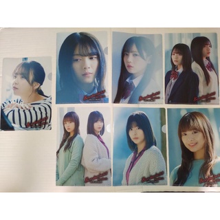櫻坂46 日向坂46 Borderless 資料夾