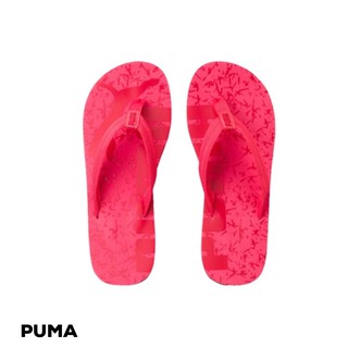 PUMA 夾腳拖 IVECAT V2 女款 / 桃粉 36533302 / 運動達人