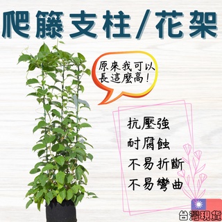 ｜菜鳥植物園｜植物支架 爬藤架 伸縮爬藤架 伸縮支架 植物支撐桿 花盆架 多肉花架 盆栽支架 園藝支架 植物支撐架