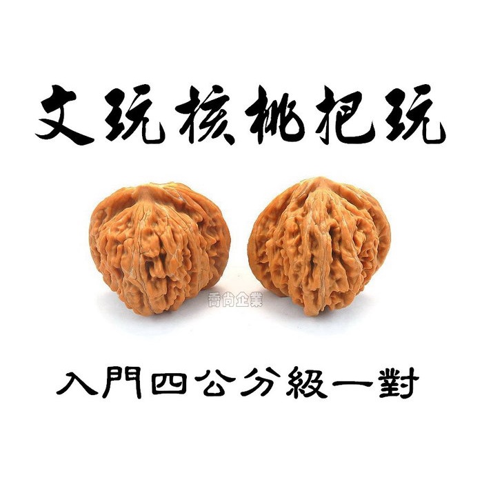 原桩大粗筋核桃 文玩 引張 クルミ