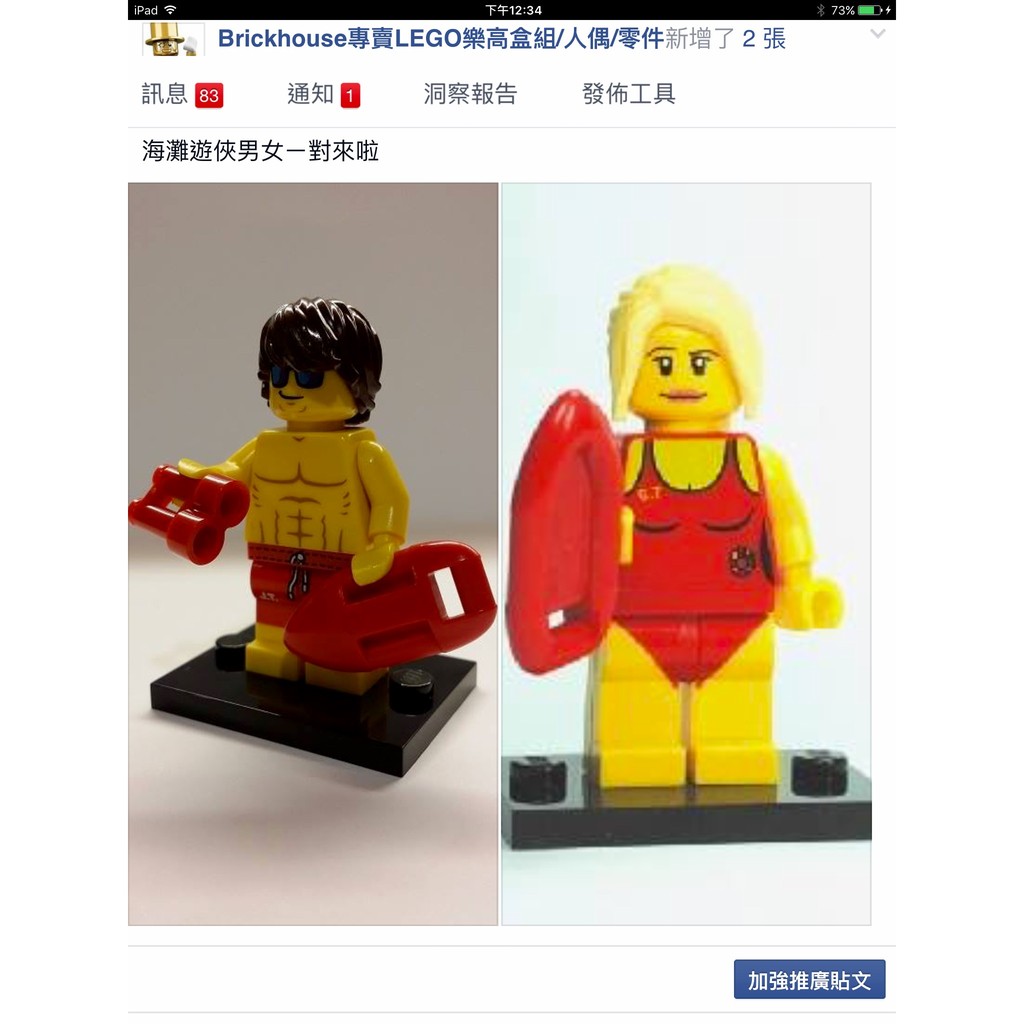 ［BrickHouse] LEGO 樂高 人偶包 8684 71007 海灘遊俠男女ㄧ對 夾鏈袋包裝