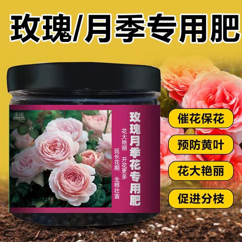 月季花玫瑰花專用肥薔薇盆栽通用型顆粒緩釋肥催花有機肥料肥料有機肥顆粒肥緩釋肥多肉玫瑰 蝦皮購物