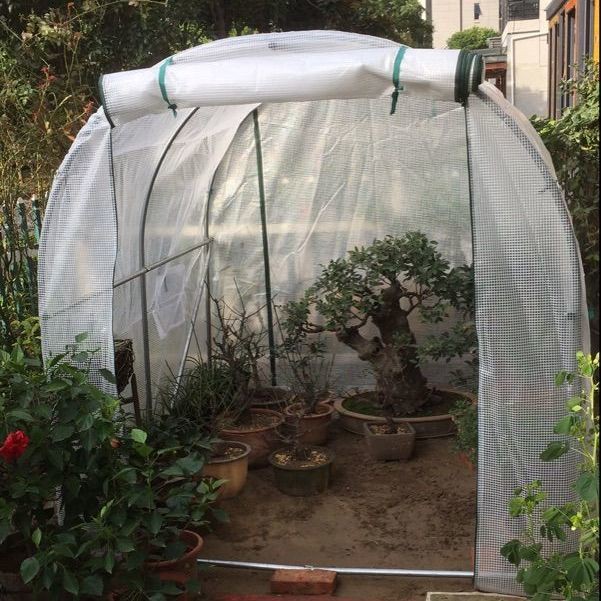 超强款温室大棚暖房花房多肉植物保温棚阳台防冻保温镀锌大棚骨架 蝦皮購物