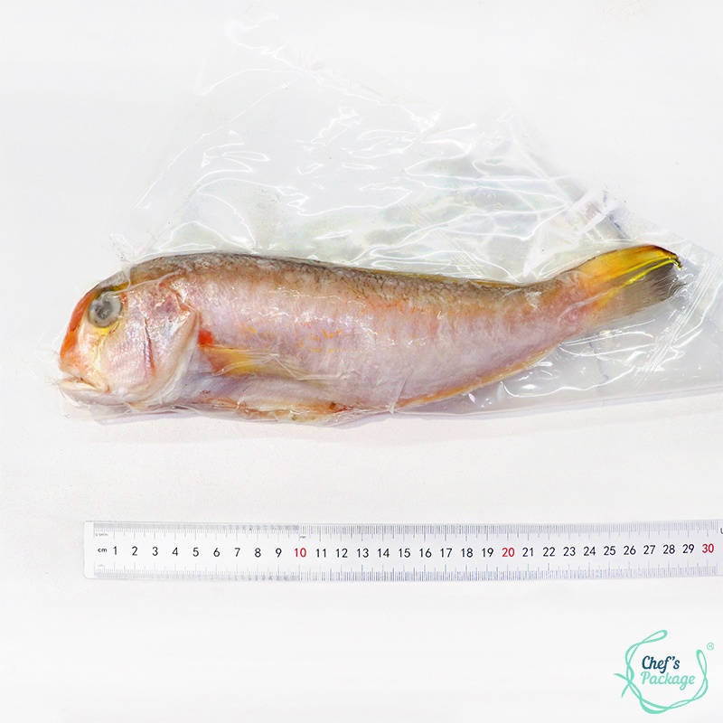 菲律賓 馬頭魚 魚肉 魚品 料理 美食 甘鯛 鯛魚 蝦皮購物