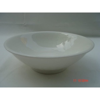 鍋碗瓢盆餐具大同磁器大同強化瓷器5.3吋淺井 P1964