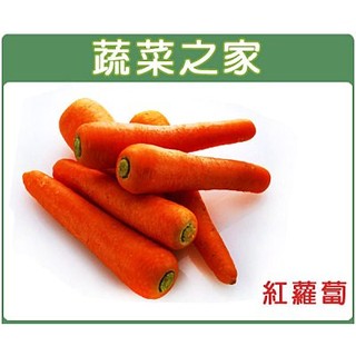 【蔬菜之家滿額免運】C01.紅蘿蔔種子5.2克(約3000顆)(有藥劑處理)(日本進口.甜度高.適生鮮用.不宜長時冷藏