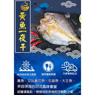 【極海鮮】消費滿$3000，送超商冷凍店取免運 嚴選黃魚一夜幹，肉質細膩鮮嫩，250g±10，可煎，烤肉，可氣炸